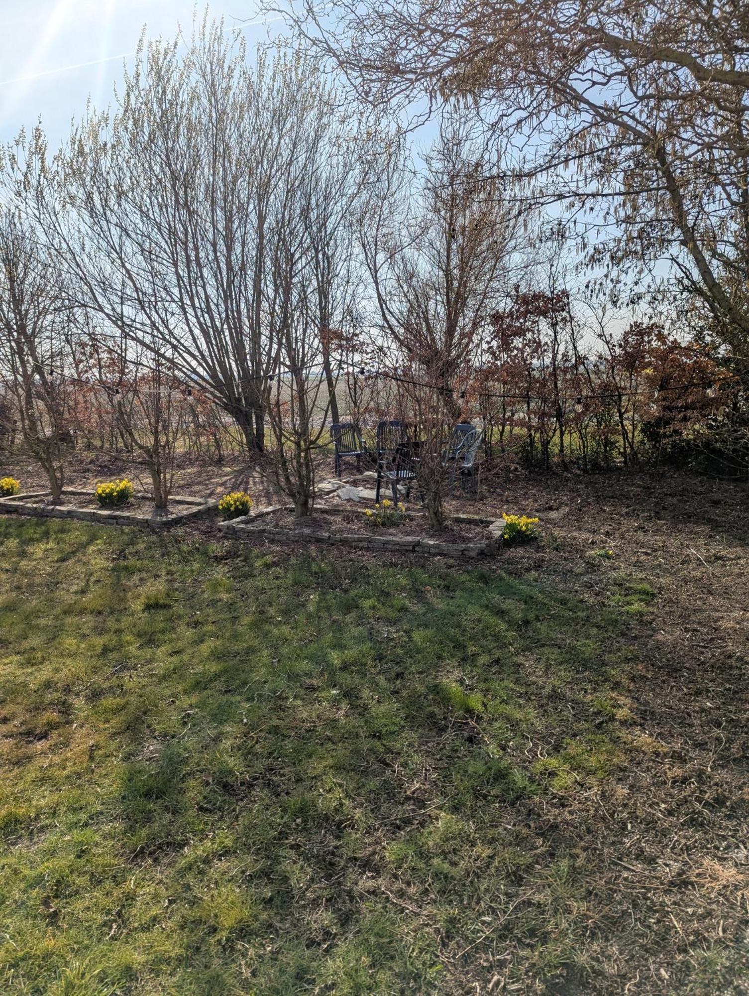 Villa The Tulip Julia جوليانادورب المظهر الخارجي الصورة